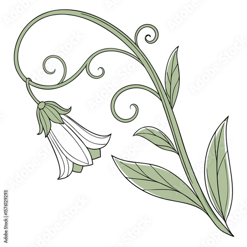A single perfectly formed sweet pea tendril, elegantly coiling and reaching, showing its delicate new growth.