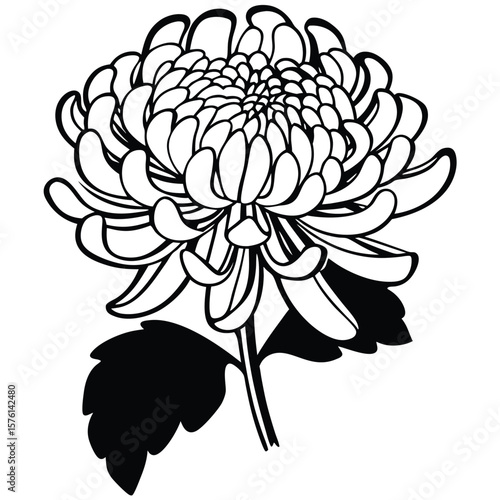 A vibrant golden chrysanthemum, with many soft petals, creating a full and cheerful bloom, perfect for autumn.