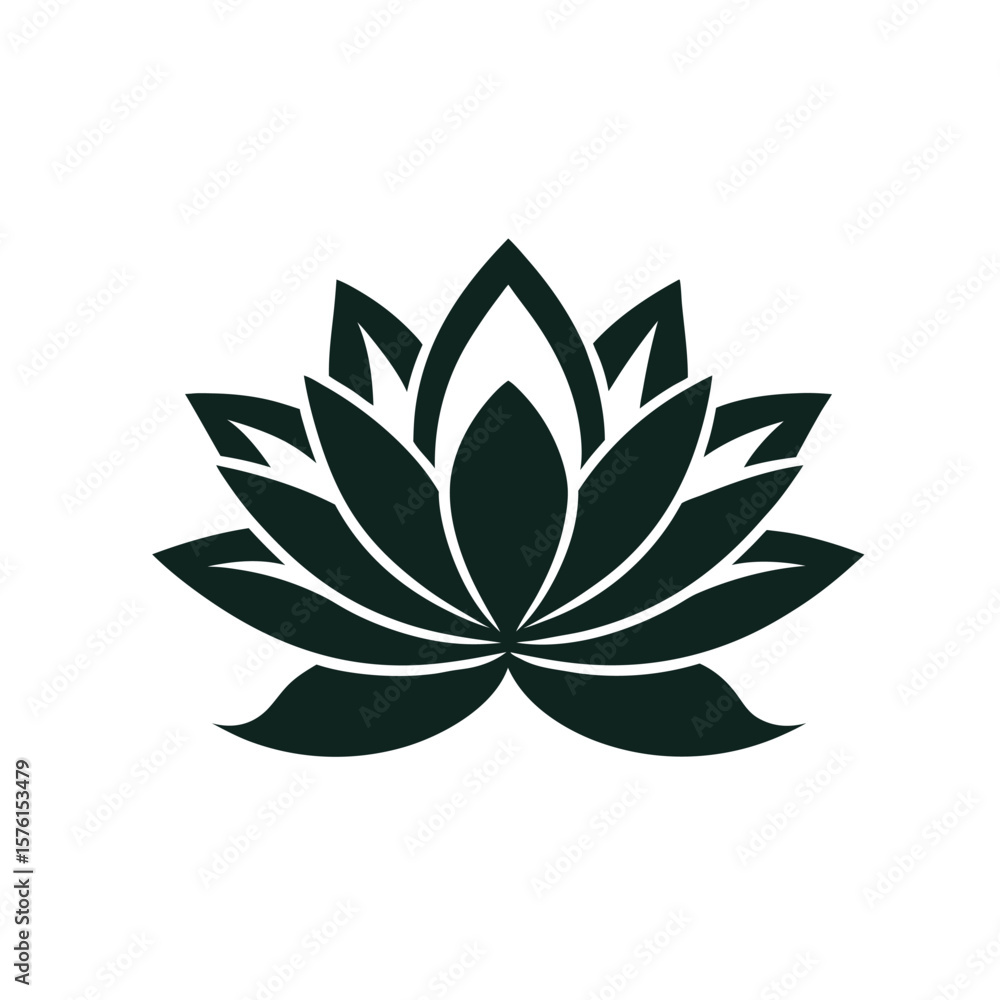 lotus flower isolated on white background lotus flower isolated on white background