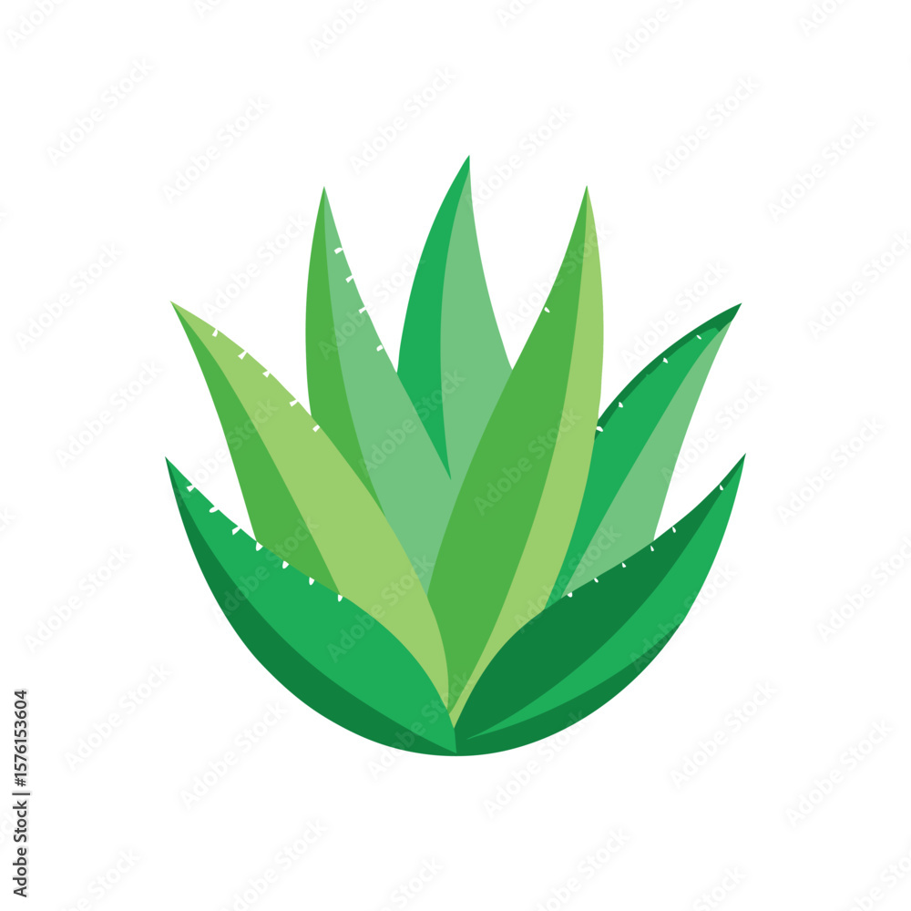 Naklejka premium green leaf isolated on white background