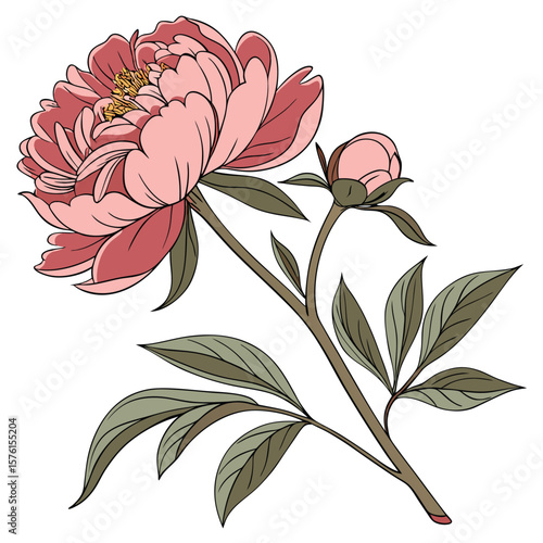 A vibrant peony in full bloom, spilling abundant petals, creating a magnificent and lush display of color.