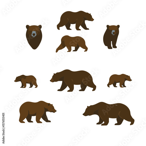 Photography set of animals vector illustration Bear