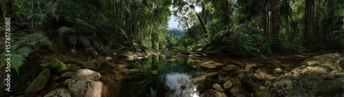 Exploring lush rainforest stream tropical paradise 360 degrees hdr panorama natural serenity