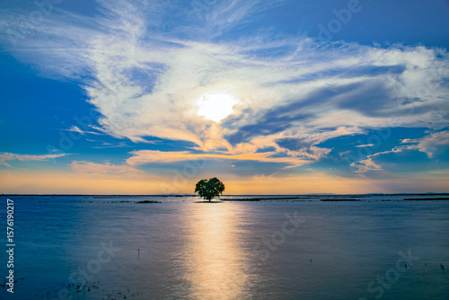 Photos A lone tree reflects the light on the vast waters