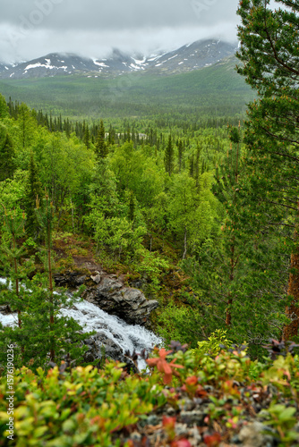 waterfall on a mountain river