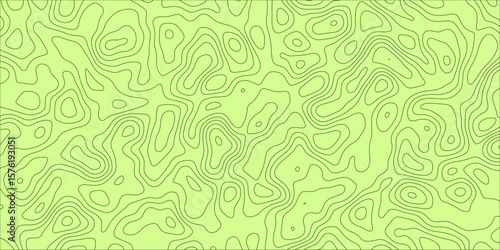 A Canvas of Endless Curves and Imaginary Roads

