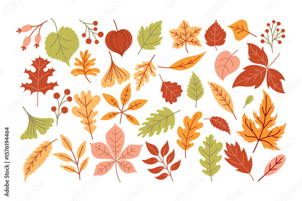 Fototapeta premium Set of autumn leaves, fallen leaves, hand drawn