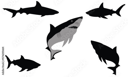 A versatile set of shark silhouettes in dynamic poses. Perfect for logos, tattoos, and marine designs. Clean, scalable vectors isolated on white for easy customization.
