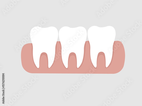 vector illustration of healthy teeth in a row and healthy red gums