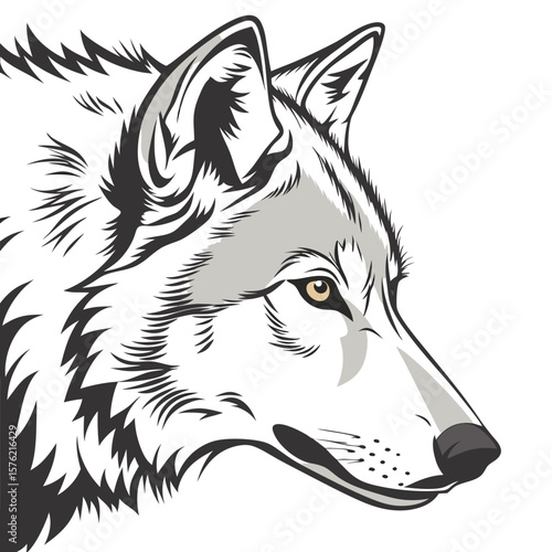 Detailed black and white illustration of a wolf's head with realistic fur and piercing eyes capturing the wild nature and majestic presence of the