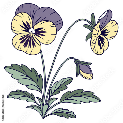 Elegant illustration of a gentle pansy plant with delicate yellow and purple flowers and lush green leaves portraying botanical beauty