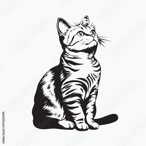 vector illustration of a cat
