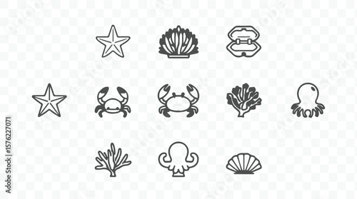 Collection of marine life icons featuring starfish crabs octopuses corals and shells in a clean silhouette style