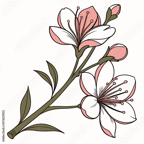 Elegant botanical illustration of blossoming flowers with delicate petals and lush green foliage showcasing intricate natural beauty
