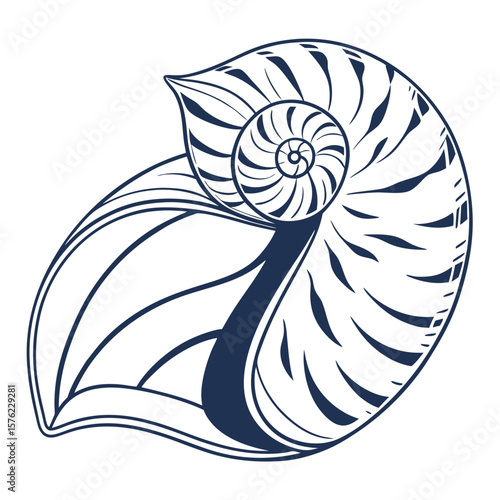 Abstract artistic depiction of a spiral shell with intricate line patterns creating a mesmerizing design emphasizing natural forms and creative
