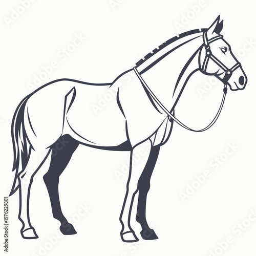 Elegant Illustration of a Well-Groomed Horse with a Bridle and Saddle in a Minimalist Style for Equestrian and Animal Enthusiast Artwork