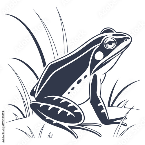 Minimalist Black and White Illustration of a Frog in Its Natural Habitat Emphasizing Simplicity and Elegance in Nature's Design