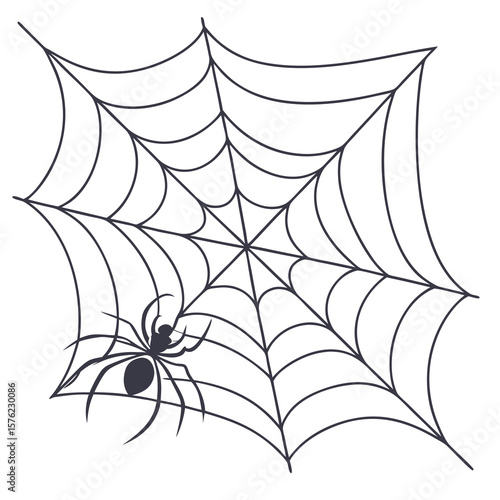 Intricate spider web with detailed craftsmanship and a tiny spider positioned at the corner showcasing the marvels of natural geometric design in a