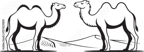 sketch of a camel