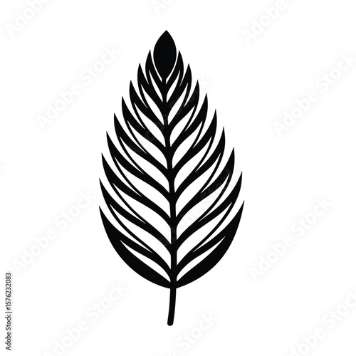 Stylized acacia tree laef black silhouette of a palm frond on a white background