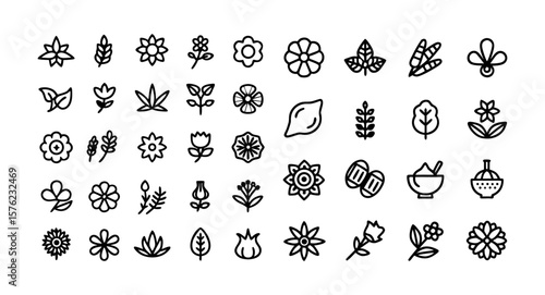 Medicinal Herbs Line Icon Set – Thin Linear Vector Pictograms of Echinacea, Ginger, Turmeric, Lavender, Rosemary, Calendula, Lemon Balm, Dandelion, and St. John’s Wort

