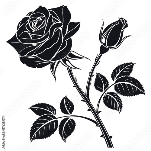 Elegant black and white illustration of a blooming rose and a budding flower with detailed leaves