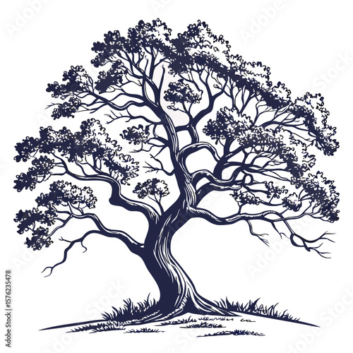 Majestic solitary tree illustration showcasing intricate branch patterns and a timeless natural presence