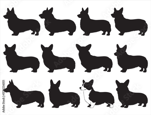 CARDIGAN WELSH CORGI DOG SILHOUETTE