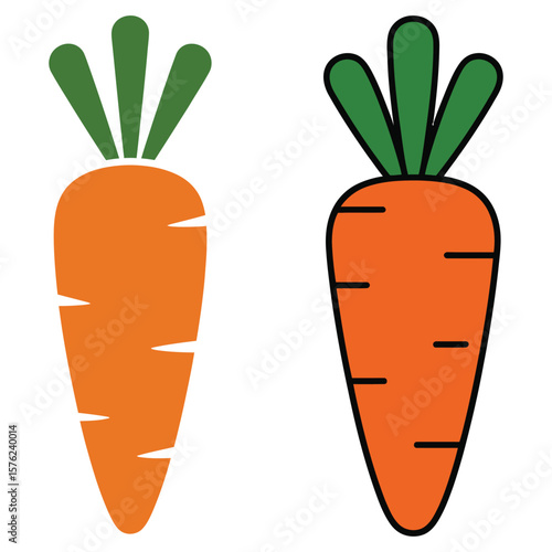 carrots vector illustration