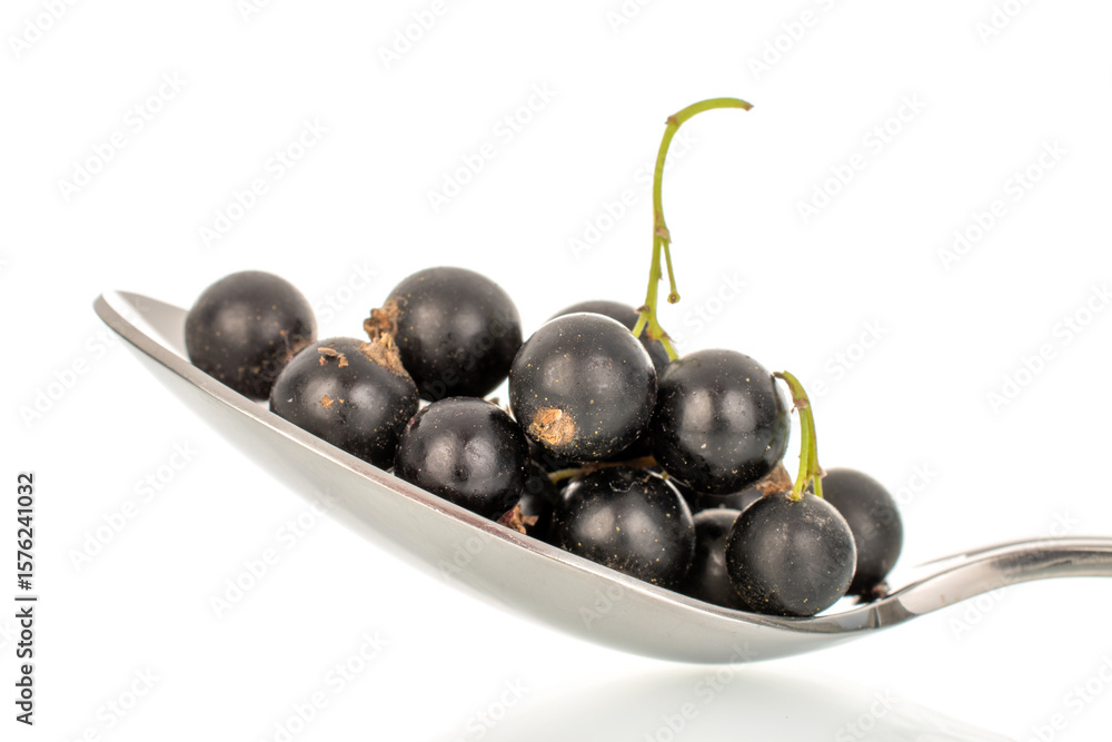 Ripe black currant isolated on white background, macro. Ripe black currant isolated on white background, macro.