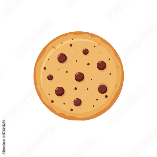 A single appetizing chocolate chip cookie