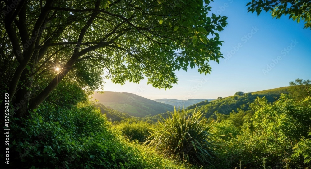 Fototapeta premium Sunlight Streams Through Lush Green Forest Landscape Towards Rolling Hills