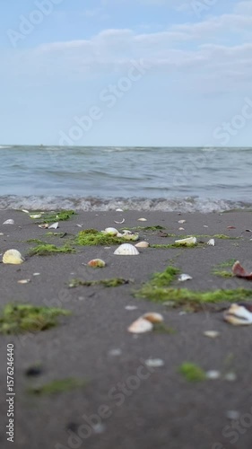 beach and sea