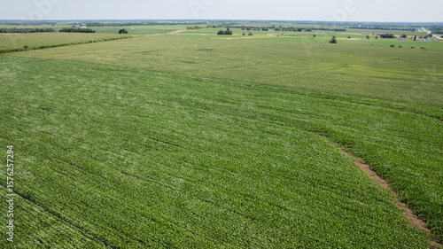 An arial view of cornfields in Missouri. 
