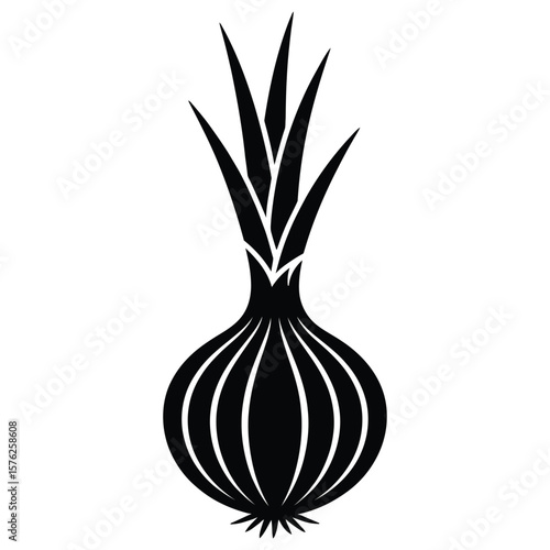 onion isolated on white