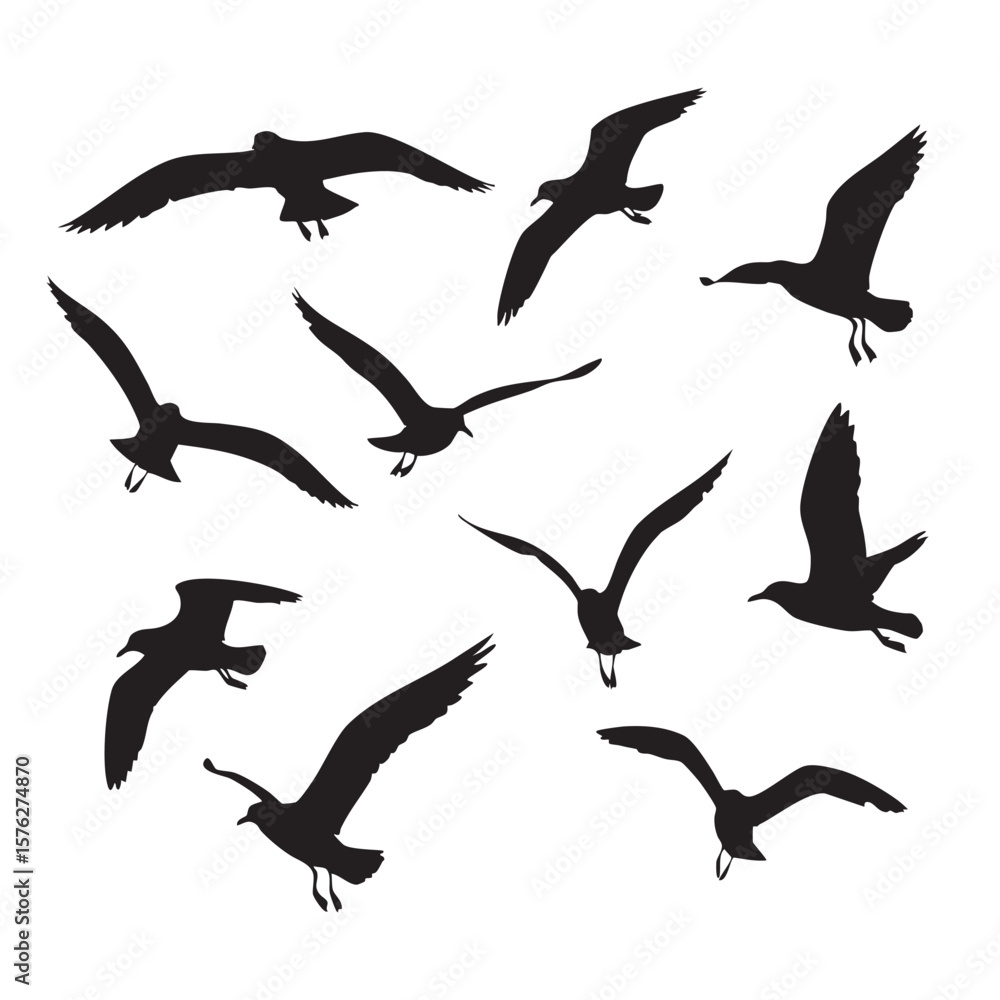 Fototapeta premium Collection of flying seagull silhouettes isolated on white background silhouette