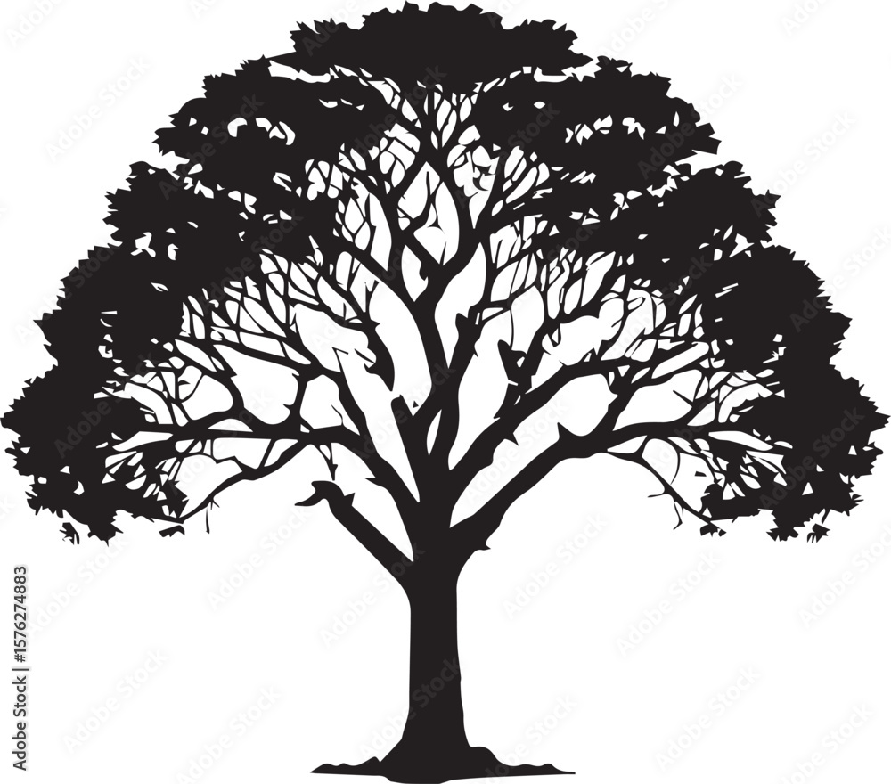 Fototapeta premium Tree silhouette Vector | Minimalist & Trendy Tree Silhouette Design | Unique & Stylish Tree Artwork for Vector design