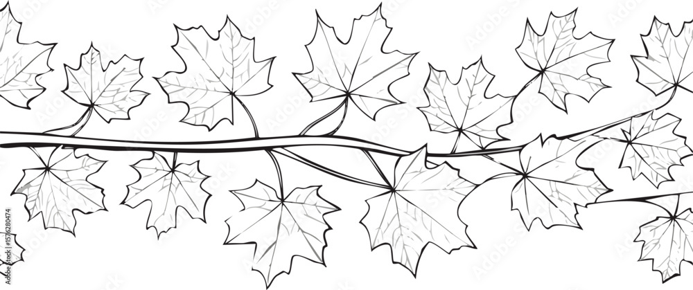 Obraz premium maple leaves autumn tree branch isolated on white transparent background. cut out.leaf, tree branch, colours, gold, growth, ecology, foliage, herb, alpha, freshness, isolated, maple, november, white,