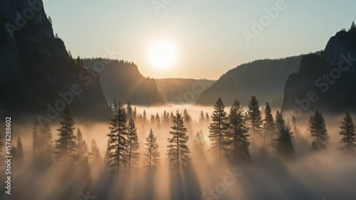 Sunrise Through Mist Over Yosemite Valley Forest