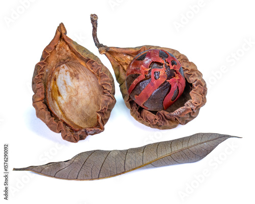 Whole nutmeg seed wrapped in red mace sitting in a dried shell, with dried leaf detail on white background.