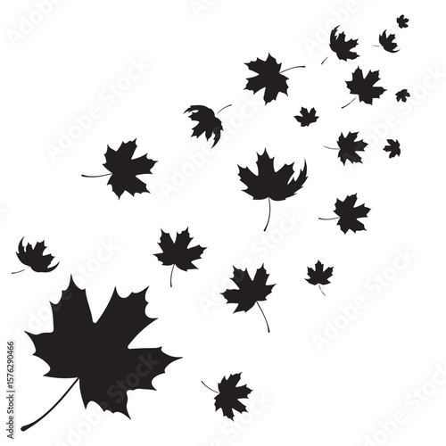 Black maple leaves blowing in the wind on a white background vector illustration