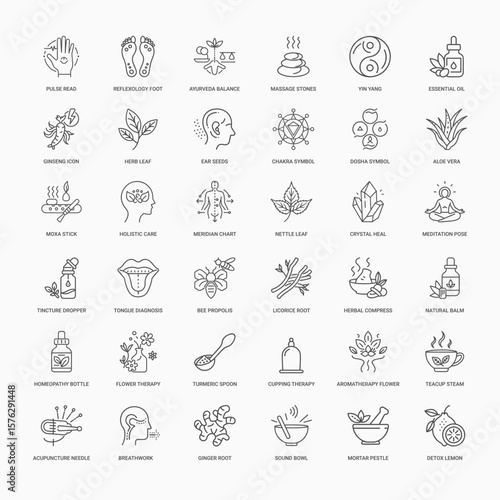 variety alternative medicine practices treatments depicted simple clean line icons, dosha aloe chakra symbol vera