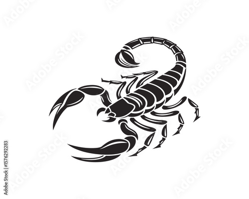  Graphic scorpion vector illustration with white background for tattoo and print.