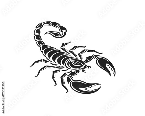  Graphic scorpion vector illustration with white background for tattoo and print.