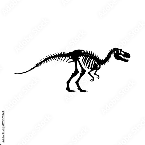 t rex skeleton