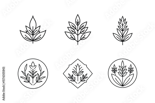 aromatic herbs icon line art vector illustration