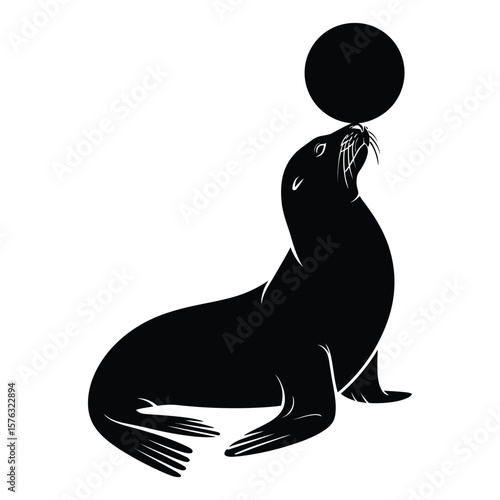 Black Seal Balancing a Ball on its Nose sea lion animal