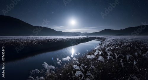 Serene night landscape with river, moon, stars, and white reeds, photo