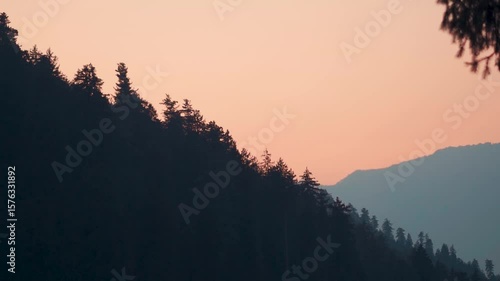 Silhouette shot of Pine tree forest on the Himalayan mountain against the orange sky during the sunset as seen from Manali in Himachal Pradesh, India. Scenic view of forest in the Himalayas.	