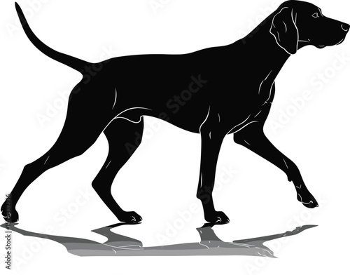 German Shorthaired Pointer, Dog Walking Profile, Black Silhouette, Animal Vector Art, Pet Lover Design, Canine Illustration, Graceful Movement, Loyal Breed, Hunting Companion, Domestic Animal.